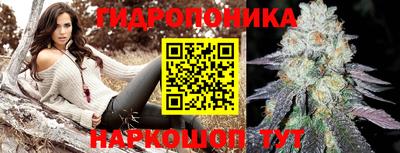 apvp Волгодонск