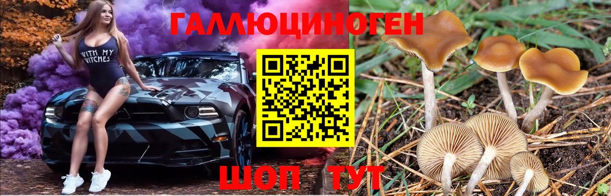 Москва  Псилоцибиновые грибы ЛСД  Вход с VPN 